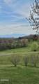 3313 Bentwood Drive - Photo 36