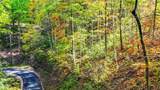 Lot 6 Emerald Springs Loop - Photo 8