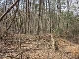 Lot 101 Ridgefield Dr. - Photo 4