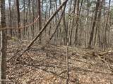 Lot 101 Ridgefield Dr. - Photo 5
