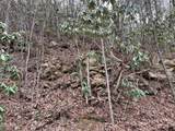 Lot 10 John Sevier Drive - Photo 3