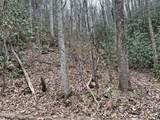 Lot 10 John Sevier Drive - Photo 6