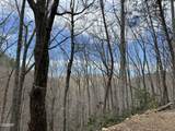 Lot 10 John Sevier Drive - Photo 7