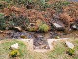 569 Baskins Creek Road - Photo 8