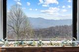 1130 Ski View Drive - Photo 7