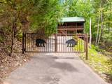 4230 Alyssa Way - Photo 48