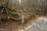460 Boat Gunnel Road - Photo 14