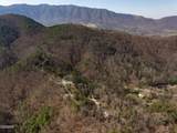 460 Boat Gunnel Road - Photo 3