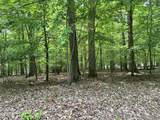 Tract 8 Woods Ridge Road - Photo 2