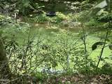 Tract 8 Woods Ridge Road - Photo 5