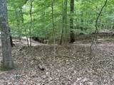 Tract 8 Woods Ridge Road - Photo 6