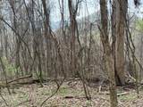 0 Bear Mountain Lane - Photo 4