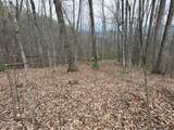 0 Bear Mountain Lane - Photo 5