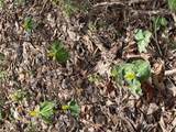 0 Bear Mountain Lane - Photo 7