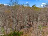 532 Turtle Dove Trail - Photo 52
