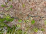 532 Turtle Dove Trail - Photo 53