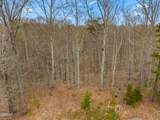 Lot 106 Turtle Dove Trail - Photo 8