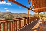 1643 Barn Door Lane - Photo 30
