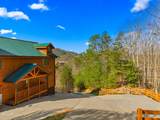 1643 Barn Door Lane - Photo 55