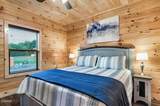 410 Southern Sun Way - Photo 13