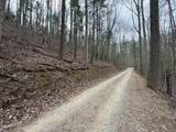 41 Reece Hollow Road - Photo 10