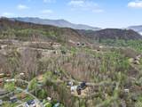 223 Chimney Tops Way - Photo 4
