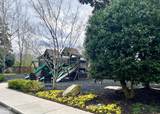 212 Dollywood Lane - Photo 41