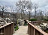 212 Dollywood Lane - Photo 42