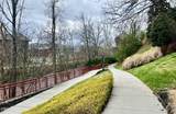 212 Dollywood Lane - Photo 44