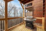 1253 Bear Cub Way - Photo 37