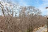 1253 Bear Cub Way - Photo 40