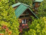 1615 Misty Hollow Way Way - Photo 1
