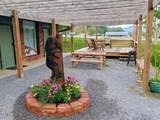 3804 Wears Valley Road - Photo 8