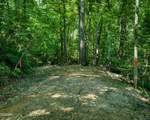 Tract 3-5 Wilson Hollow Way - Photo 13