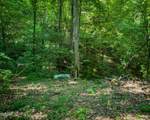 Tract 3-5 Wilson Hollow Way - Photo 14