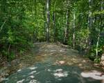 Tract 3-5 Wilson Hollow Way - Photo 16