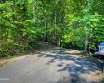 Tract 3-5 Wilson Hollow Way - Photo 17