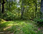 Tract 3-5 Wilson Hollow Way - Photo 18