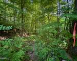 Tract 3-5 Wilson Hollow Way - Photo 19