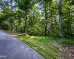 Tract 3-5 Wilson Hollow Way - Photo 21