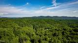 Tract 3-5 Wilson Hollow Way - Photo 26