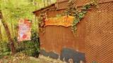 919 Serenity Circle - Photo 2