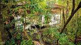 919 Serenity Circle - Photo 24