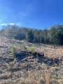 1581 Lower Caney Valley Road - Photo 3