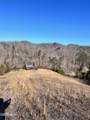 1581 Lower Caney Valley Road - Photo 6