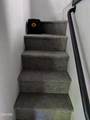 4229 Parkway #223 - Photo 39