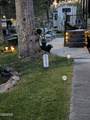4229 Parkway #223 - Photo 43