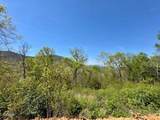 520 Stevia Way - Photo 3