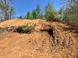 520 Stevia Way - Photo 8