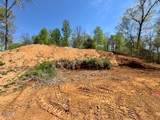 520 Stevia Way - Photo 9